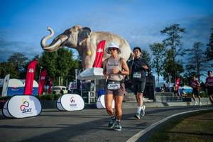 BIB: 
                            <button type="button" onclick="openModal(26541699)" class="btn btn-primary btn-sm float-right btn-popup" data-toggle="modal" data-target=".modal-high-quality">
                        <i class="fas fa-shopping-cart"></i> Add to Cart
                    </button>
                                            <button type="button" onclick="isThisMe(26541699, true)" class="btn btn-success btn-sm float-right btn-popup btn-isme hidden" data-toggle="tooltip" data-placement="bottom" title="นี่คือรูปของคุณใช่ไหม คลิกที่นี่เพื่อเอาเข้าอัลบั้ม">
                        <i class="fas fa-plus"></i> Add to album
                    </button>
                    <button type="button" onclick="isThisMe(26541699, false)" class="btn btn-warning btn-sm float-right btn-popup btn-isnotme hidden">
                        <i class="fas fa-ban"></i> Remove from album
                    </button>